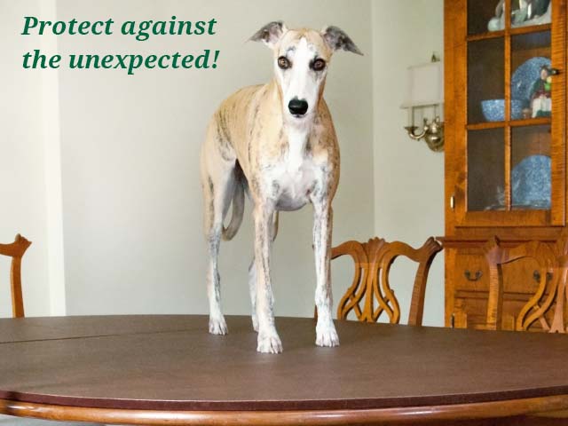 Photo: dog on dining room table pad; Protect against the unexpected!